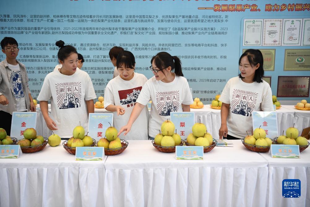 赌注网